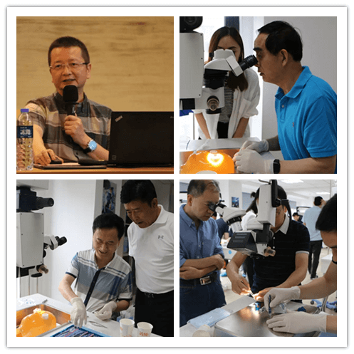 365beat体育2019年眼内屈光手术技术高峰论坛隆重举行101副本.png